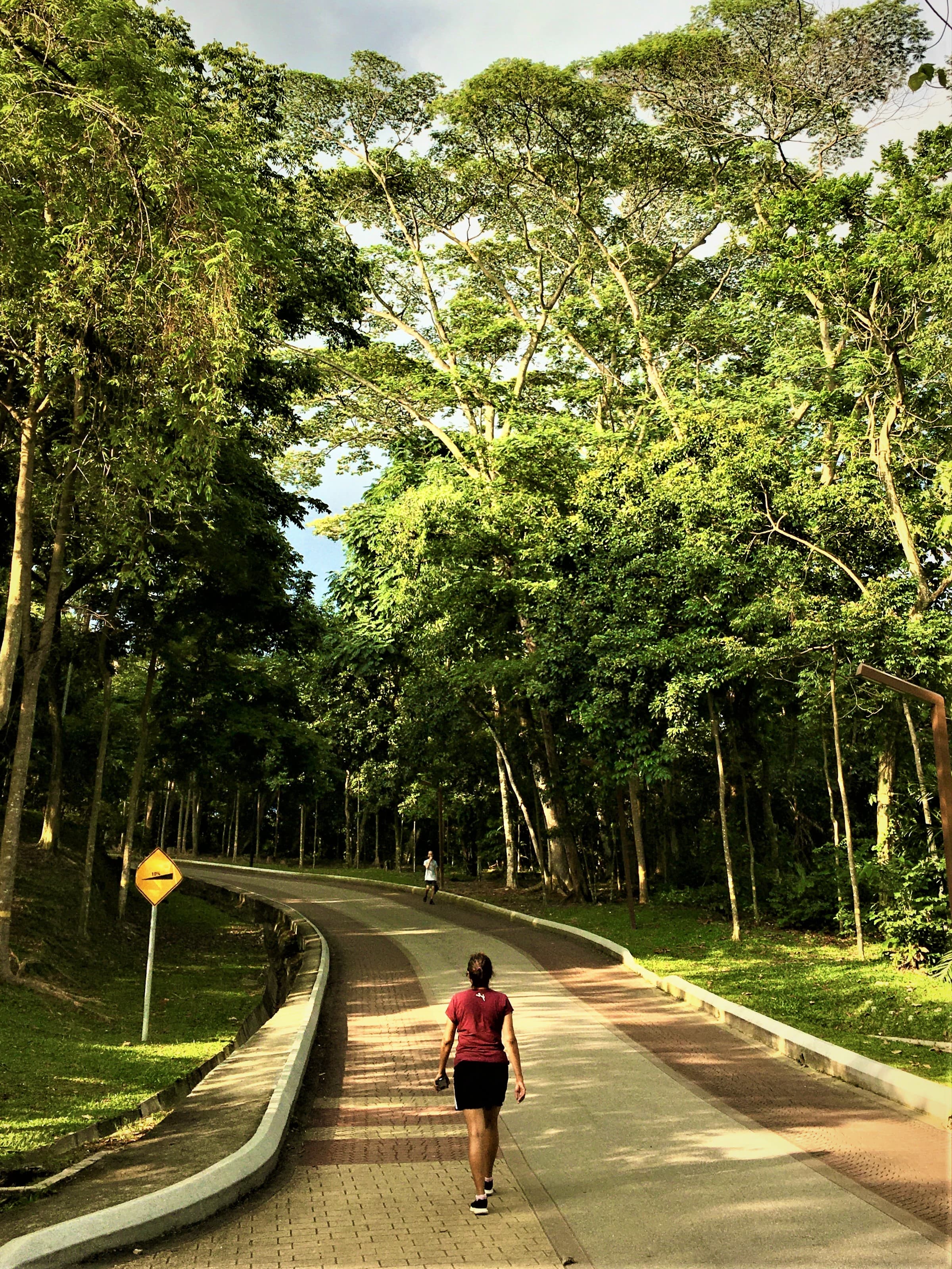 Bukit Kiara