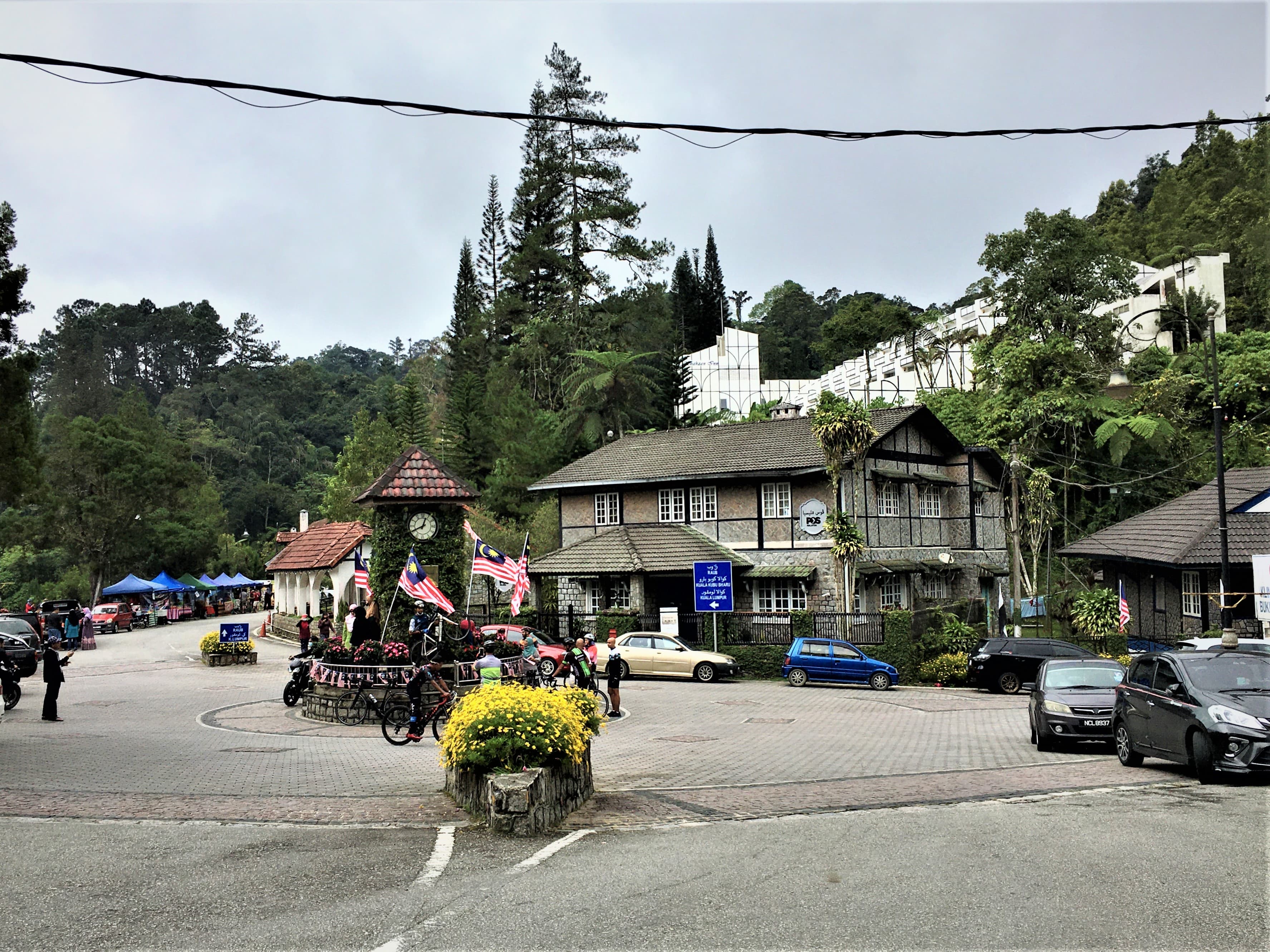 Pine Tree & Twin Peaks