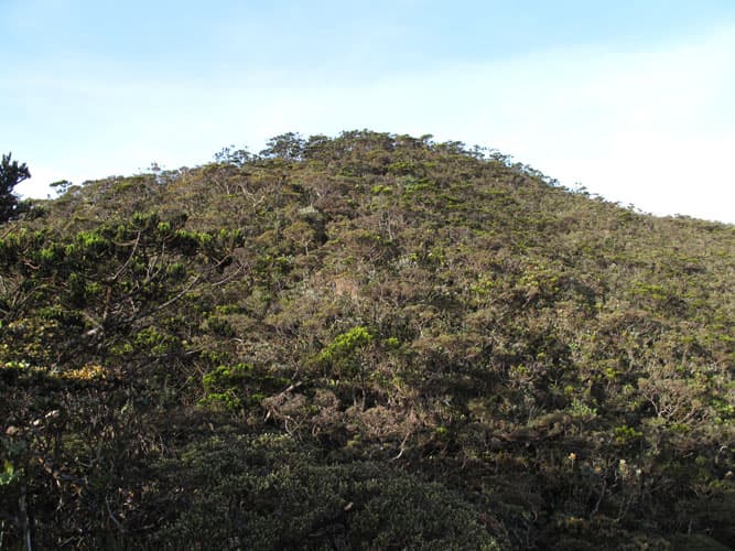 Gunung Tambuyukon