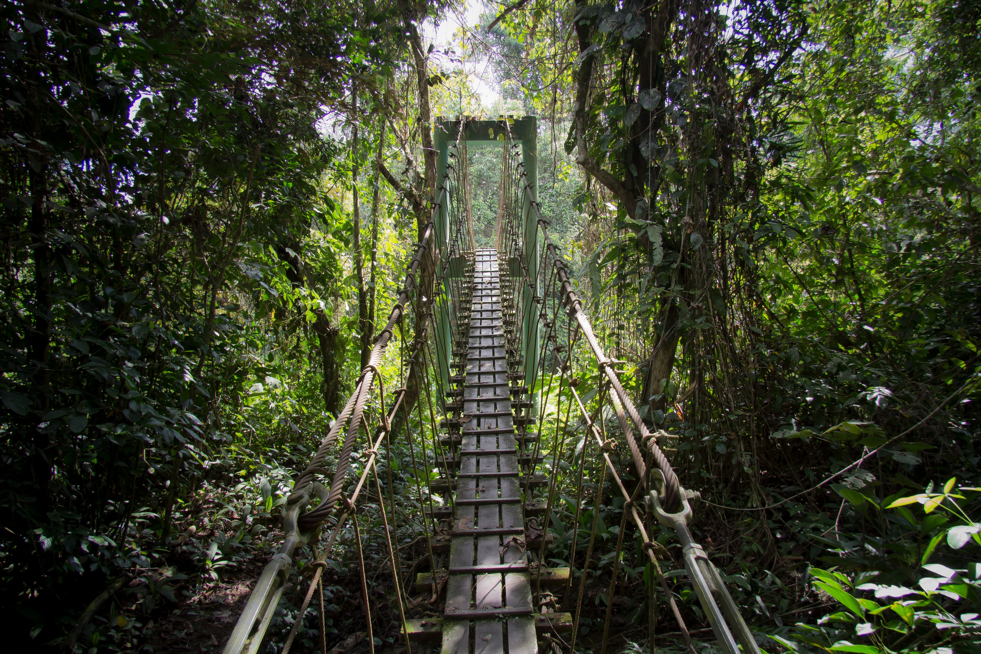 Gunung Mulu