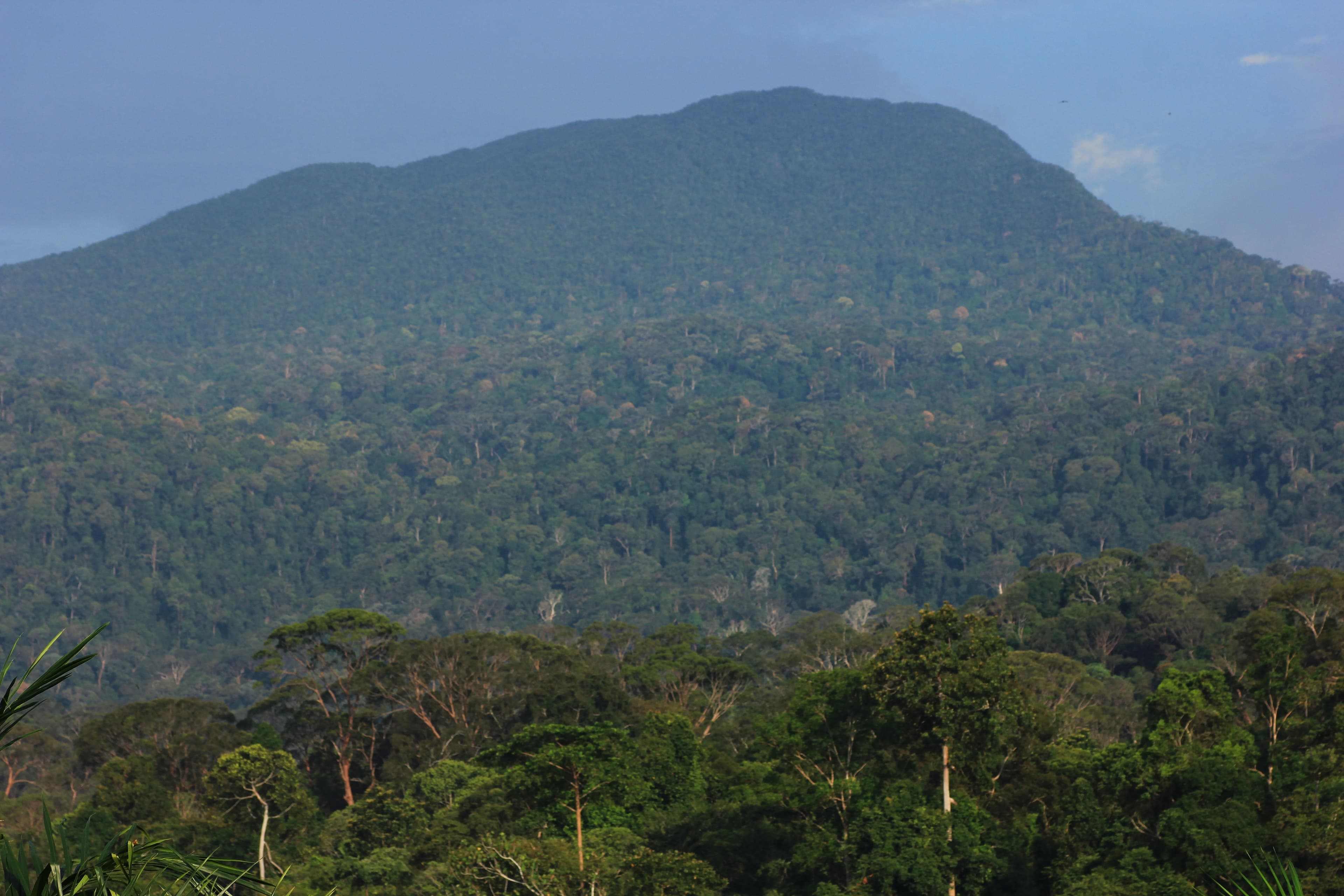 Gunung Belumut
