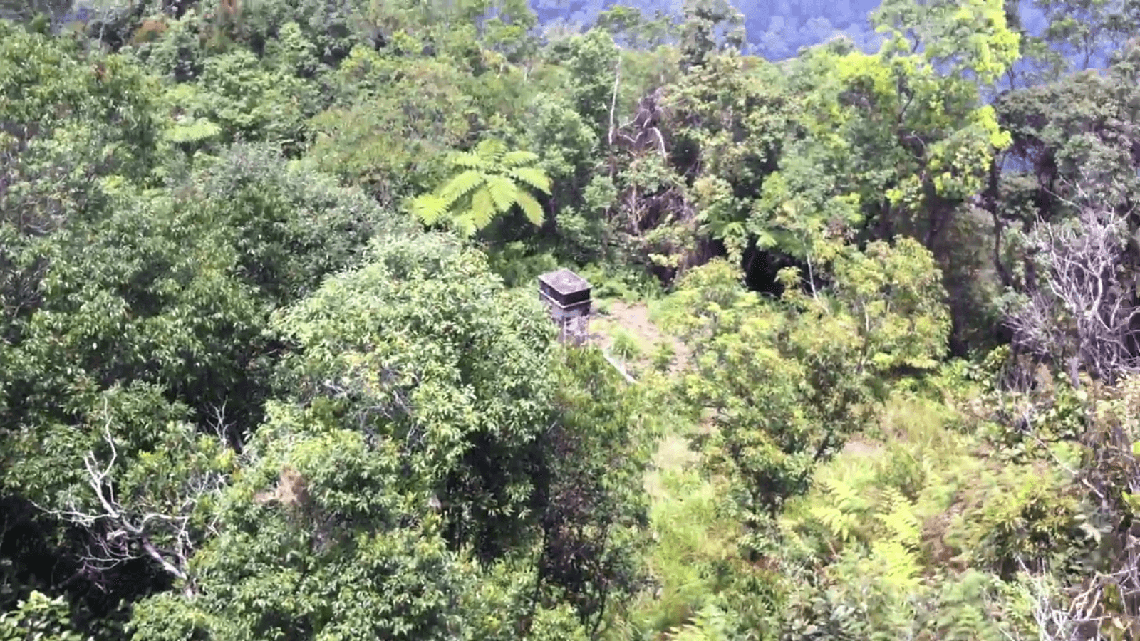 Bukit Kutu